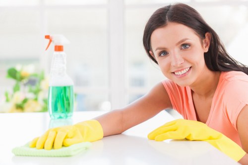 Customer concern review for carpet cleaning service