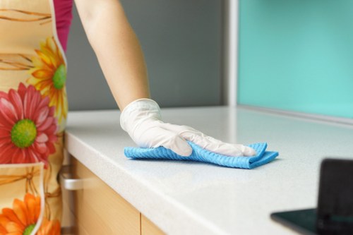 Technician assessing carpet cleaning safety in a home