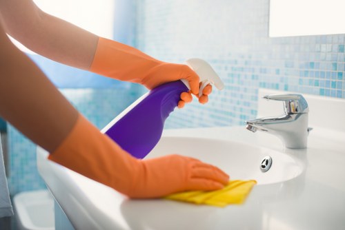 Pet stain odour removal in Collier Row for carpet cleaning