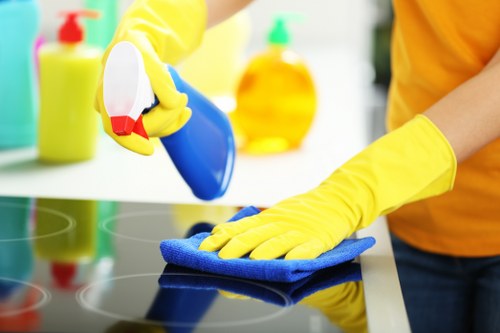 Professional pet stain odour removal on carpet and rugs