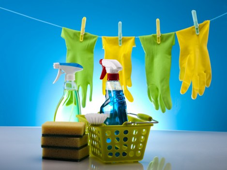 Deep cleaning pet accidents in a Collier Row home