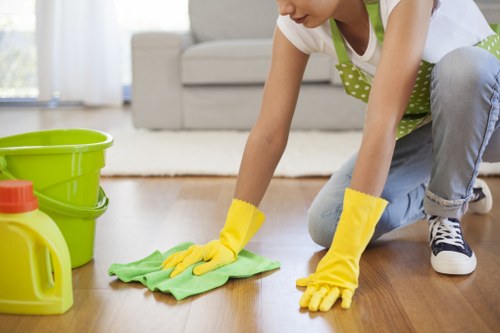 Pet-friendly carpet cleaning in Collier Row